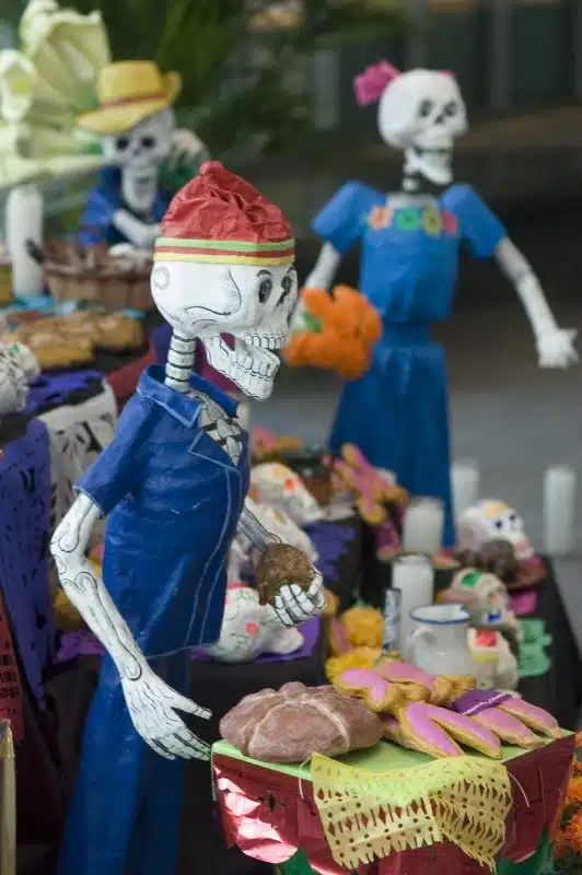 TransLingua Day of the Dead