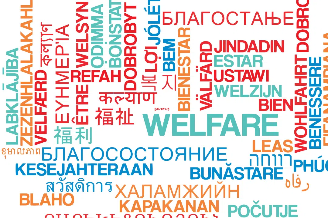 linguistic diversity explained