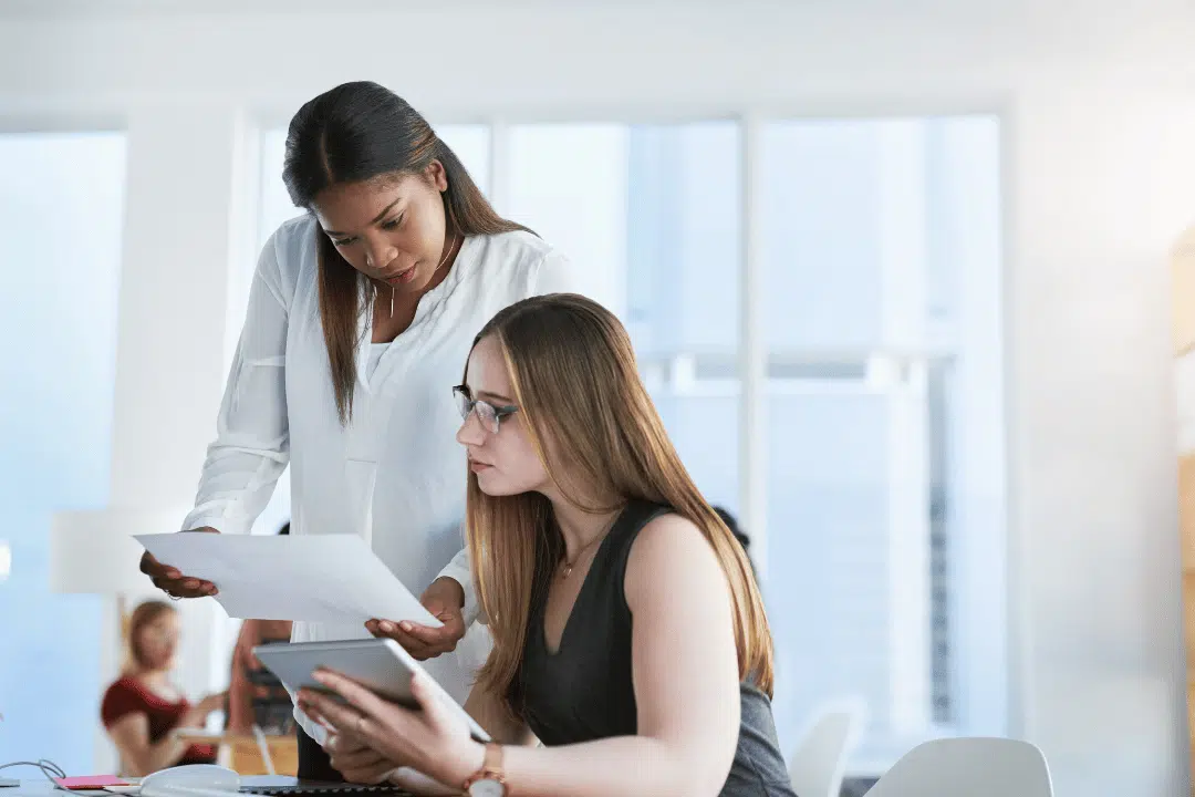 human review supporting professional translation
